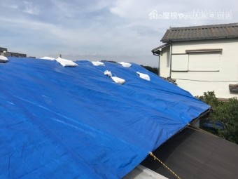 瓦落下防止のブルーシート養生