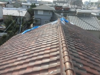 瓦屋根調査