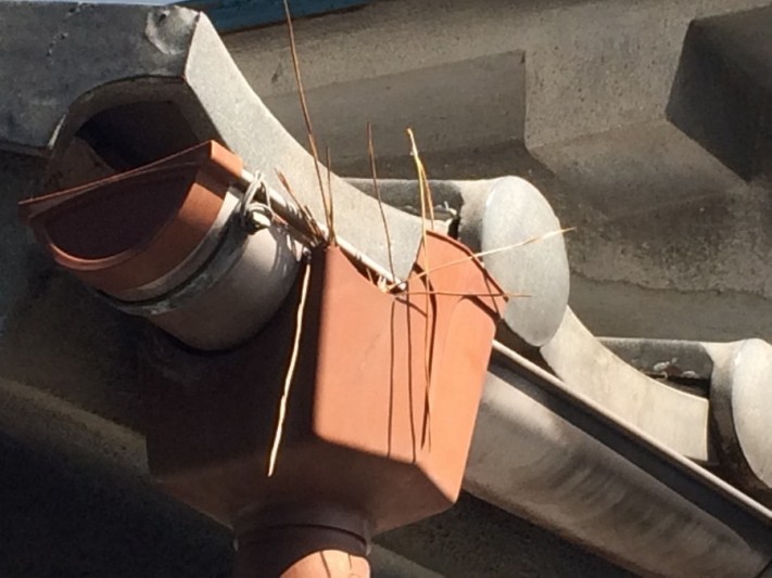 集水器のつまり