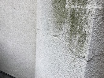 外壁塗装が劣化し黒ずんでいるのと同時にひび割れが生じている様子
