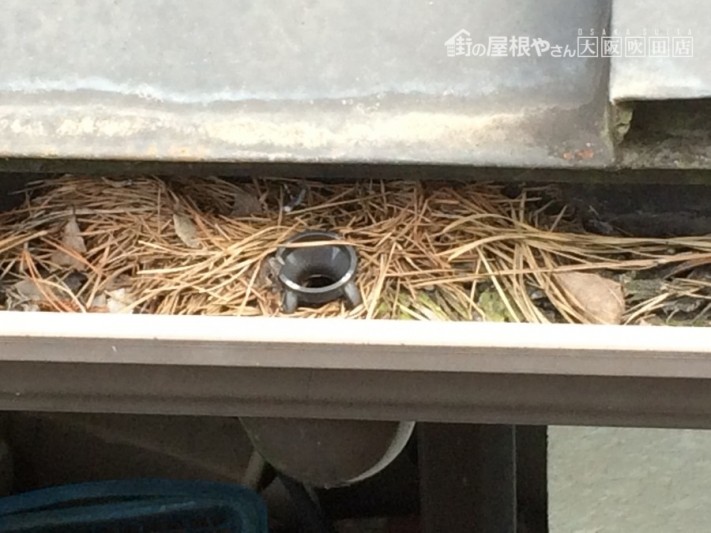 軒樋に葉っぱが