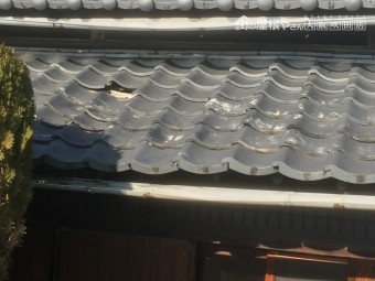 雨漏り
