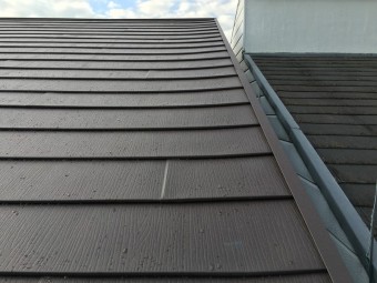 IMG_2905