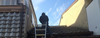IMG_3049-e1479430422959