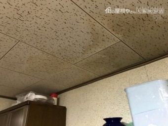 天井雨漏り雨染み