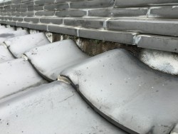 IMG_32621