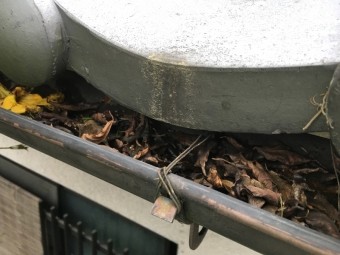 落ち葉やゴミの詰まった雨樋
