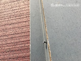 棟板金