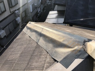 IMG_3734-1