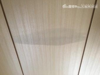 雨染み?