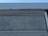 IMG_3924