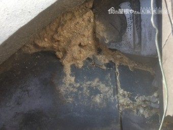 冠瓦割れ