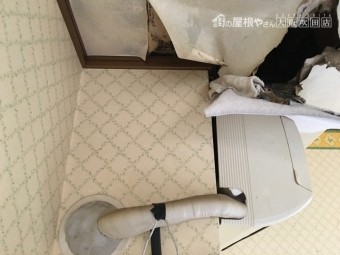 雨漏り調査