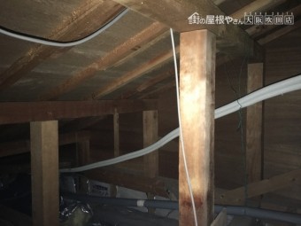屋根裏調査