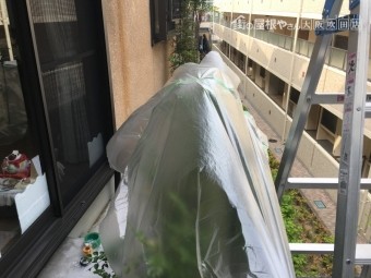 ベランダの養生カバーを掛けられた植物