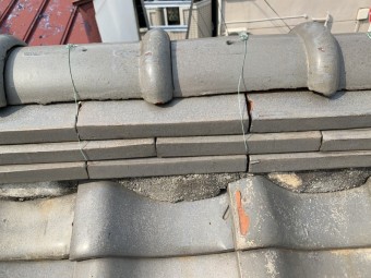 IMG_4527