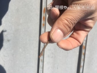 劣化し抜けてしまった釘