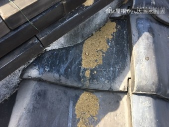 砂が出てきています