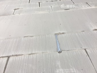 雨漏り調査開始 屋根の調査