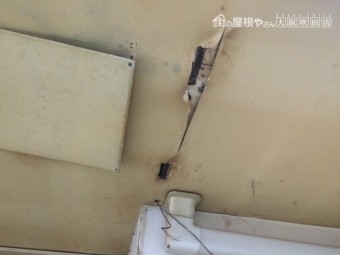 雨漏りによる天井の劣化。裂けや剥がれなど。