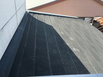IMG_5146