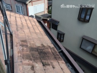 カラーベスト屋根調査