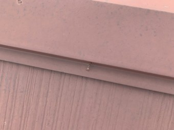 フルベスト24 棟包み板金固定釘の浮き