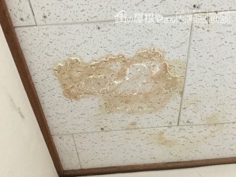 雨漏りによる天井雨染み