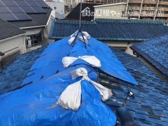 ブルーシートで屋根を養生