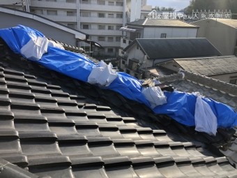 台風後応急処置として覆ったブルーシート