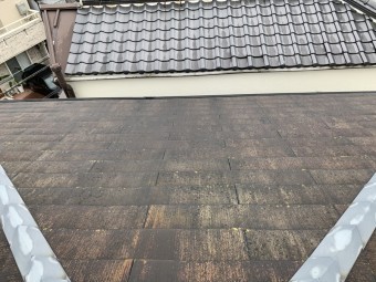 カラーベスト