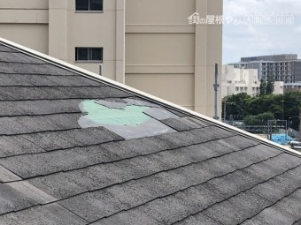 カラーベスト飛散