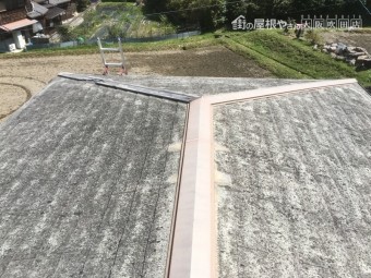 棟板金捲れ