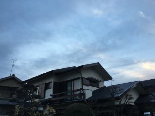 カラーベスト