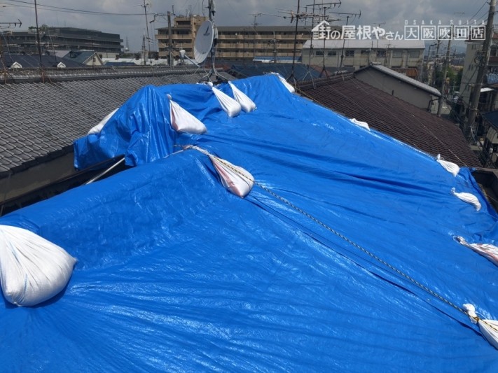 大きなブルーシートで屋根を養生