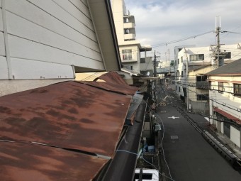 IMG_6444