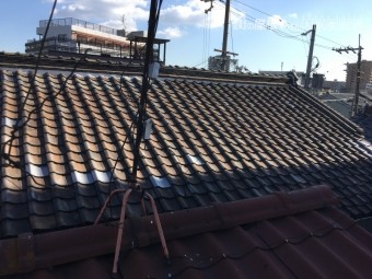 瓦屋根