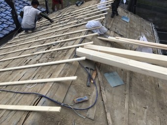 瓦をめくった後の屋根に垂木