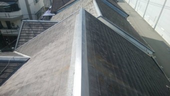 IMG_6551-1