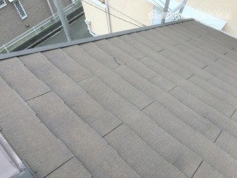 現地調査 大屋根スレート