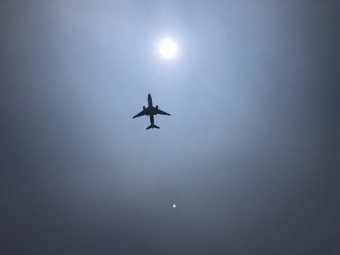 IMG_6619