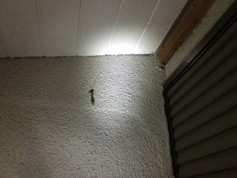 雨漏り