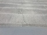 IMG_6851