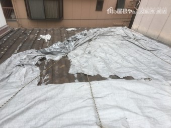 雨漏り