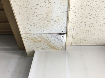 天井雨漏り剥がれ