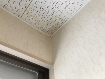 天井雨漏り雨染み