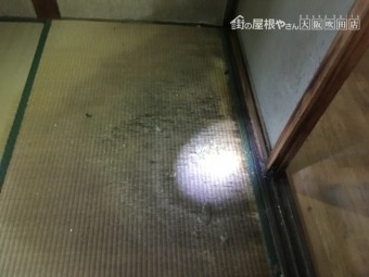 雨漏りにより劣化した畳