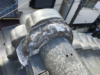 IMG_7205-columns2
