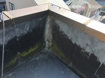 雨漏りのある苔の生えた屋上
