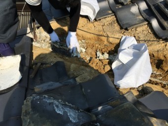 瓦をめくって土を撤去